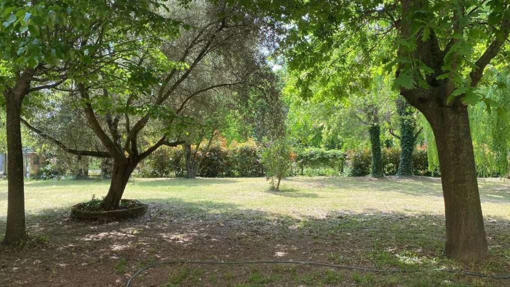Giardino - Ca' de Mazapedar - Ca' de Mazapédar - Affittacamere B&B a Lugo di Romagna - Ca' de Mazapédar - Affittacamere B&B a Lugo di Romagna Giardino - ca' de mazapedar - ca' de mazapédar - affittacamere b&b a lugo di romagna